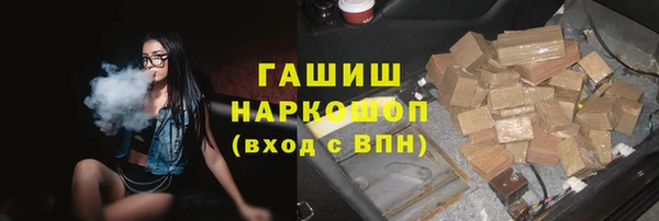 индика Алзамай