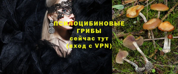 индика Алзамай